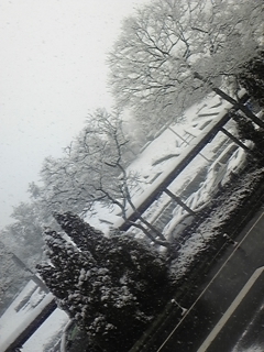 �������I