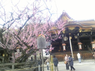 �k��V���{