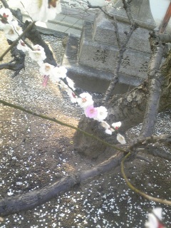 ���ƃs���N